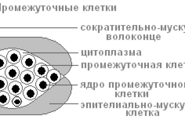 Обменник биткоин блэкспрут