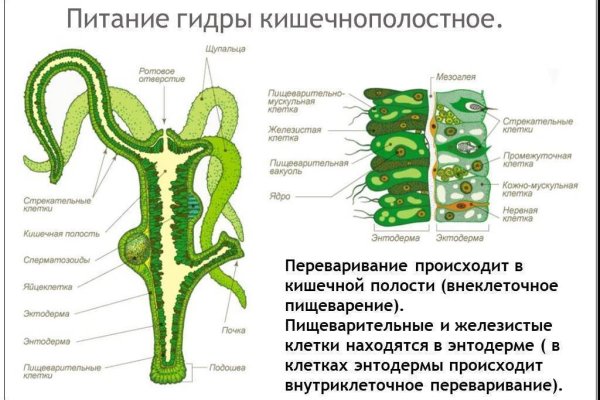 Kraken на русском