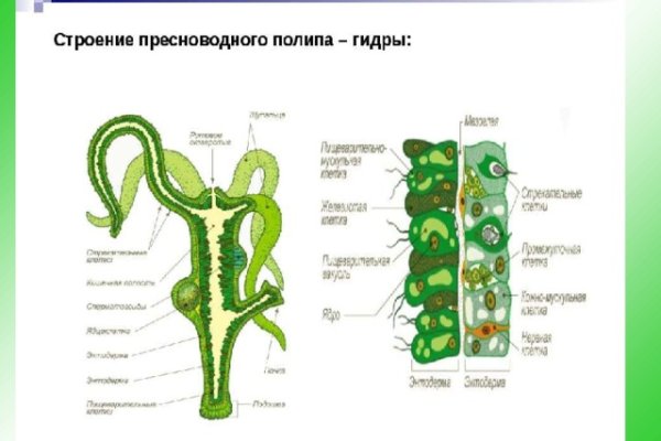 Kraken актуальные ссылки