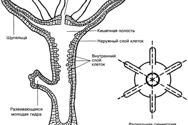 Знак меги даркнет