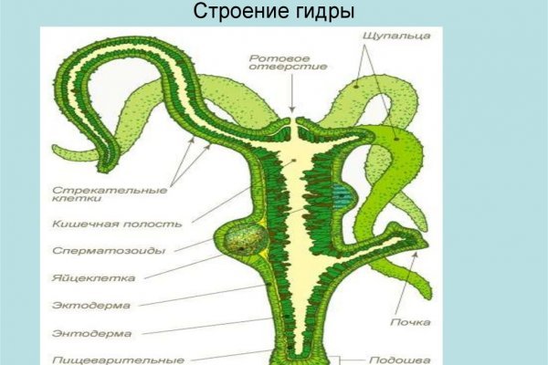 Кто создал сайт блэкспрут